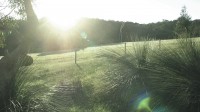 Hilltop Sunrise 